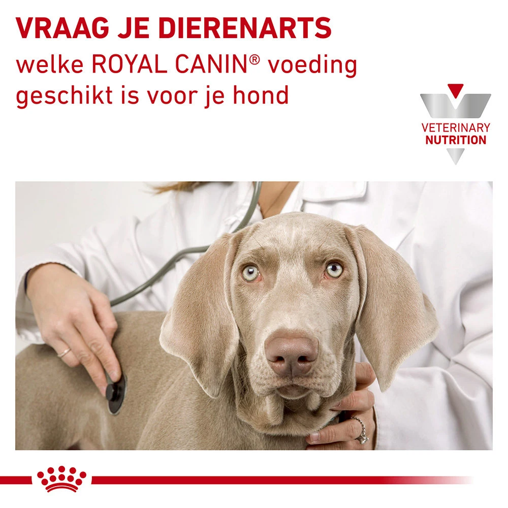 Royal Canin Urinary S/O Hond - Maaltijdzakje 7 Royal Canin Urinary S/O Hond - Maaltijdzakje - Afbeelding 7