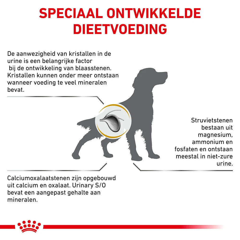 Royal Canin Urinary S/O Hond - Maaltijdzakje 6 Royal Canin Urinary S/O Hond - Maaltijdzakje - Afbeelding 6