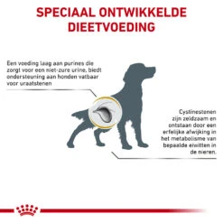 Royal Canin Urinary UC Low Purine Hond -KONG Verkoopwinkel royal canin urinary uc low purine hond 153667 1000 none