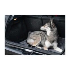 Royal Dry Doormat -KONG Verkoopwinkel royal dry doormat 187417 2000 none