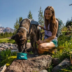 Ruffwear Flat Out Dog Collar - Alpenglow Burst -KONG Verkoopwinkel ruffwear flat out dog collar alpenglow burst 204812 0500 none