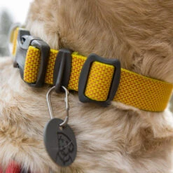 Ruffwear Hi & Light Collar -KONG Verkoopwinkel ruffwear hi light collar 194258 1000 none