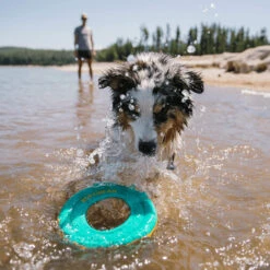 Ruffwear Hydro Plane Floating Throw Toy -KONG Verkoopwinkel ruffwear hydro plane floating throw toy 200822 2000 none