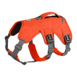 Ruffwear Webmaster Harness -KONG Verkoopwinkel ruffwear web master harness lxl blaze orange 133868 2000 none