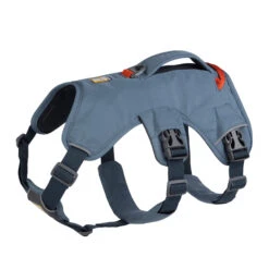 Ruffwear Webmaster Harness -KONG Verkoopwinkel ruffwear web master harness m slate blue 133865 2000 none