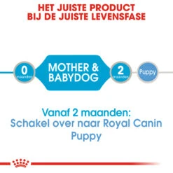 Royal Canin Starter Mousse Mother & Babydog - Hondenvoer -KONG Verkoopwinkel rxUIuda50NUmhQ80doULT7x9hvzkcg metaUm95YWwtQ2FuaW4tU3RhcnRlci1Nb3Vzc2UtTW90aGVyLSYtQmFieWRvZ18wMS5qcGc
