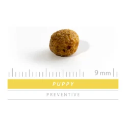 SANIMED Puppy -KONG Verkoopwinkel sanimed puppy 159224 1500 none