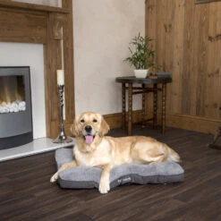 Boneguard Rawhide Bones -KONG Verkoopwinkel scruffs cosy mattress 209366 1500 none