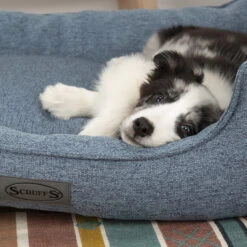 Boneguard Rawhide Bones -KONG Verkoopwinkel scruffs manhattan box bed 209510 1500 none