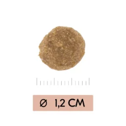 Vetality Gastrointestinal Low Fat - Hondenvoer -KONG Verkoopwinkel vetality gastrointestinal low fat hondenvoer 195467 1000 none