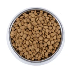 Vetality Skin Support - Hondenvoer -KONG Verkoopwinkel vetality skin support hondenvoer 195221 1000 none