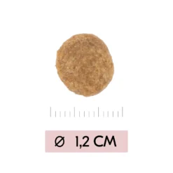 Vetality Skin Support - Hondenvoer -KONG Verkoopwinkel vetality skin support hondenvoer 195452 1000 none