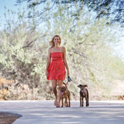 Wigzi Dual Doggie 2.0 9 Wigzi Dual Doggie 2.0 -KONG Verkoopwinkel wigzi dual doggie 20 167839 1500 none