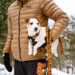 Woolly Wolf Sea To Summit Hondenriem 8 Woolly Wolf Sea To Summit Hondenriem -KONG Verkoopwinkel woolly wolf sea to summit hondenriem 194831 1000 none