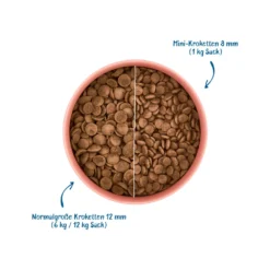 WOW! Senior Hondenvoer -KONG Verkoopwinkel wow droogvoer senior eend met munt 208937 1000 none