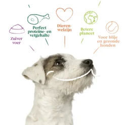 Yarrah - Natvoer Hond Kuipje Paté Met Rund En Kip Bio -KONG Verkoopwinkel yarrah natvoer hond kuipje pat met rund en kip bio 199055 1000 none