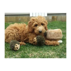 ZippyPaws Zippy Burrow Hedgehog Den -KONG Verkoopwinkel zippypaws zippy burrow hedgehog den 221069 0500 none